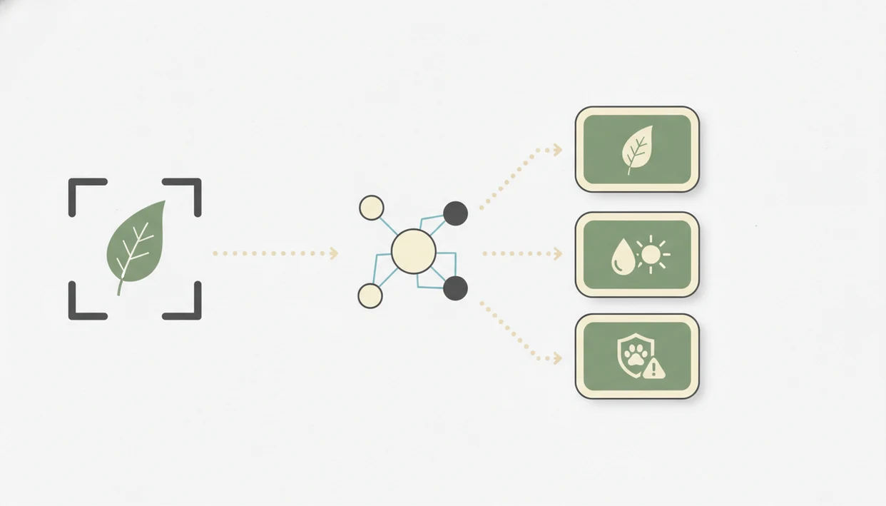 A simple diagram shows a plant photo flowing through AI analysis to ID, care, and safety outputs.